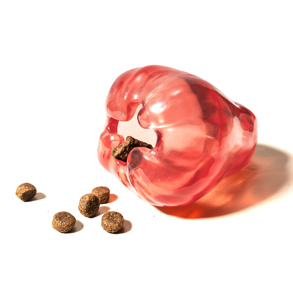 NibbleFru Dog Treat Dispensing Toy