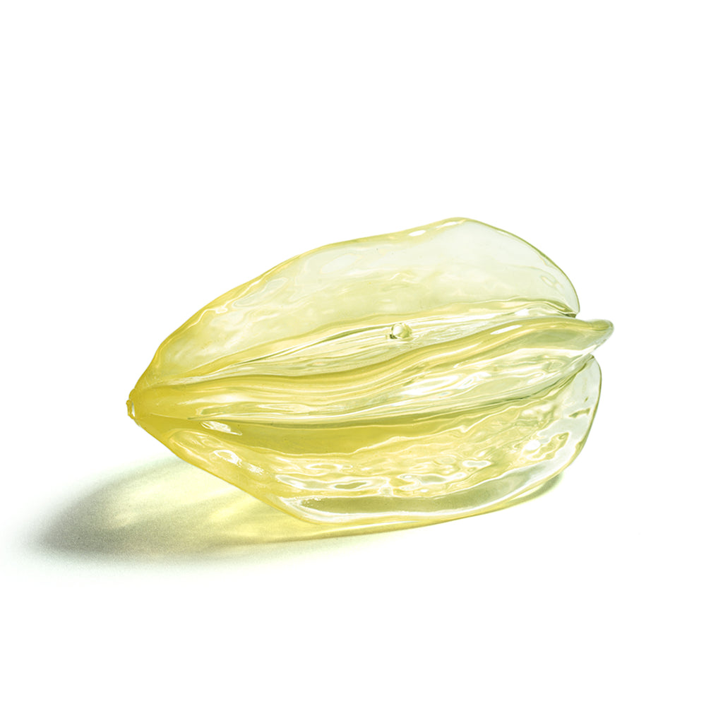 NibbleFru Dog Teething Chew Toy