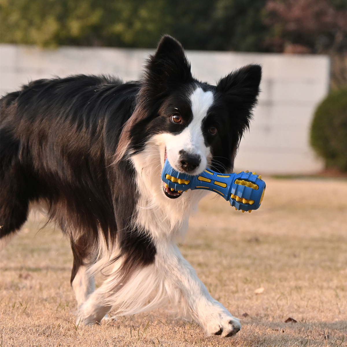 GnawBell Dog Chew Toy