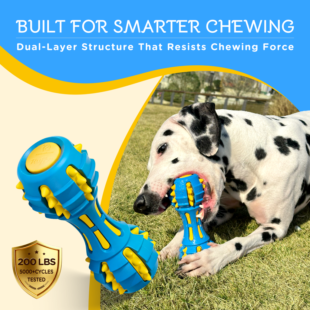 GnawBell Dog Chew Toy (Blue)