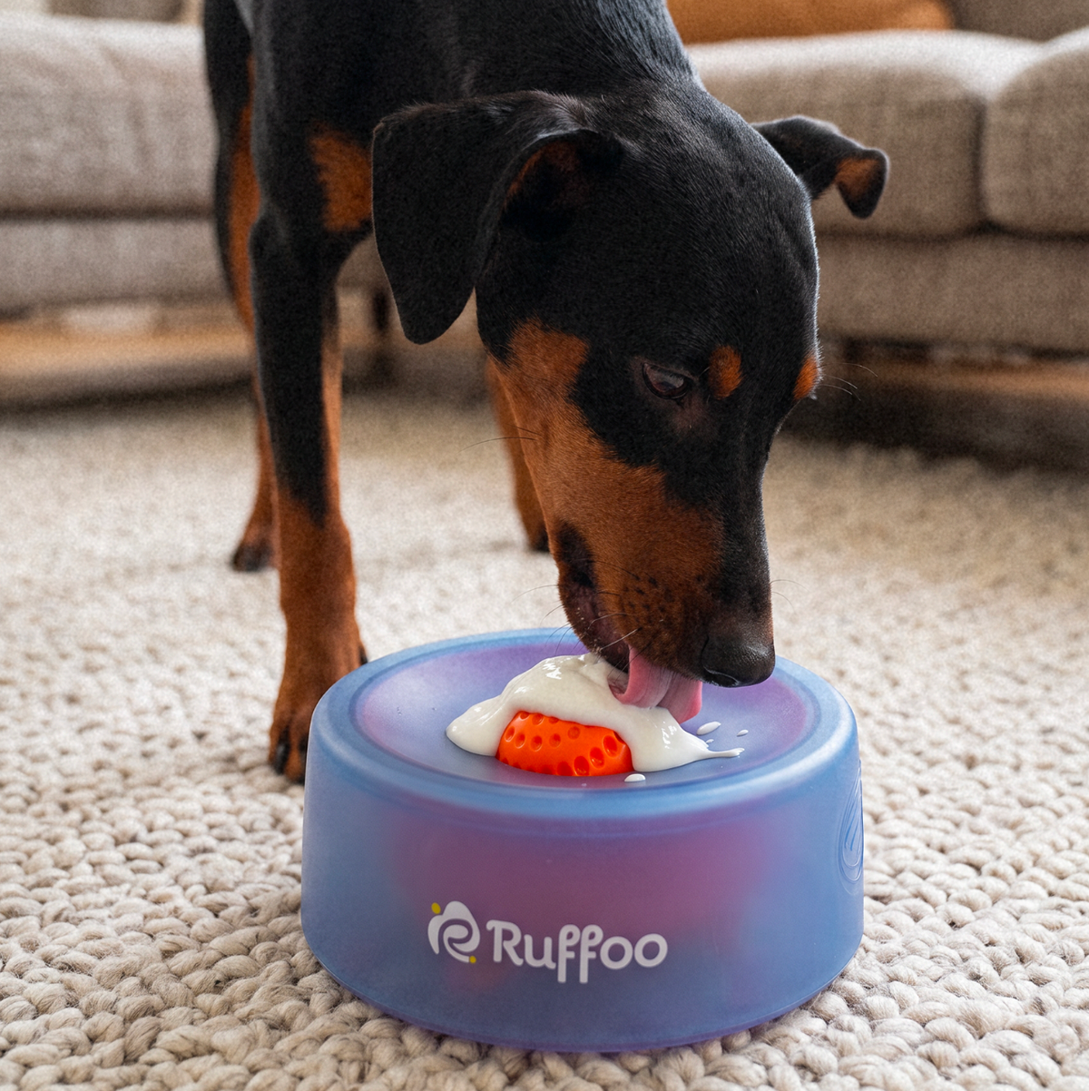 RolliPop Dog Lick Bowl