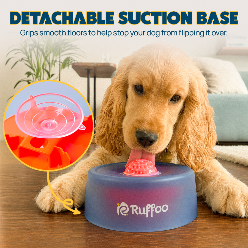 RolliPop Dog Lick Bowl