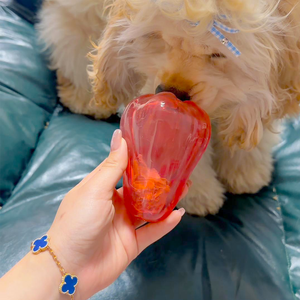 NibbleFru Dog Treat Dispensing Toy