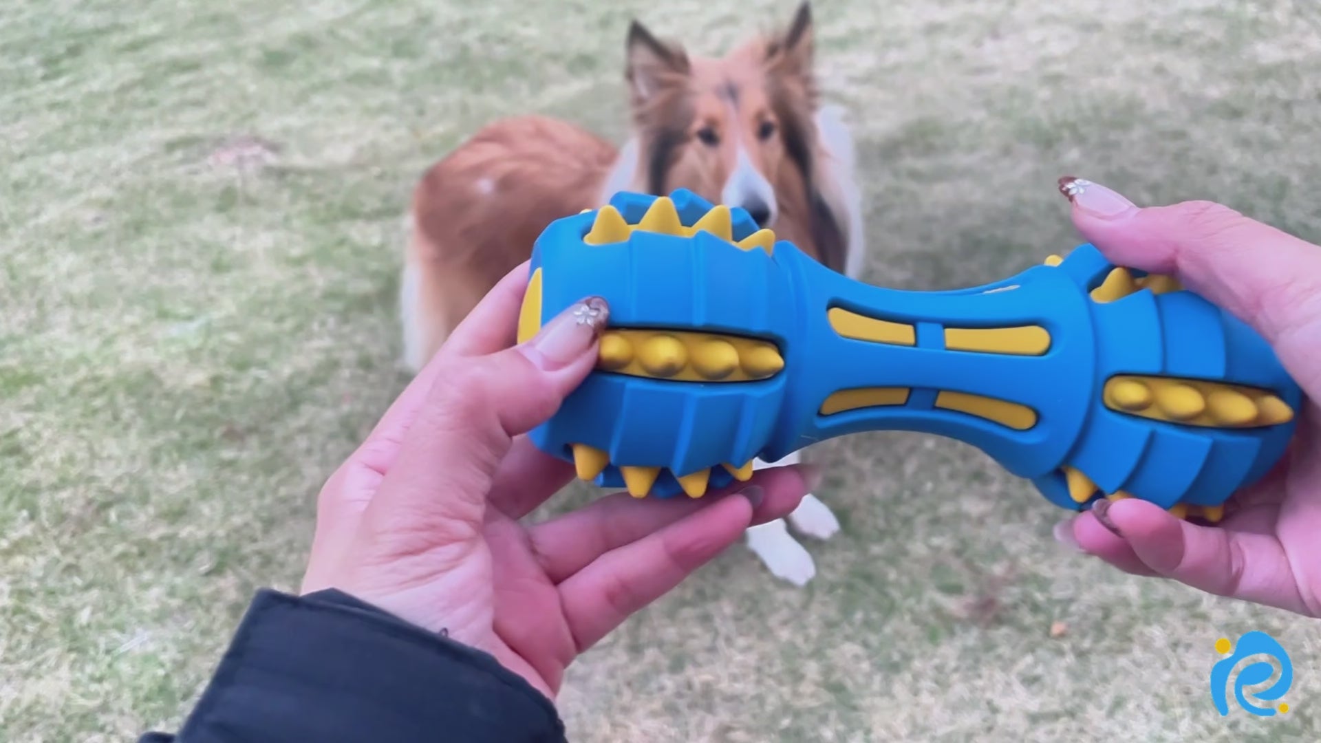 GnawBell Dog Chew Toy (Blue)