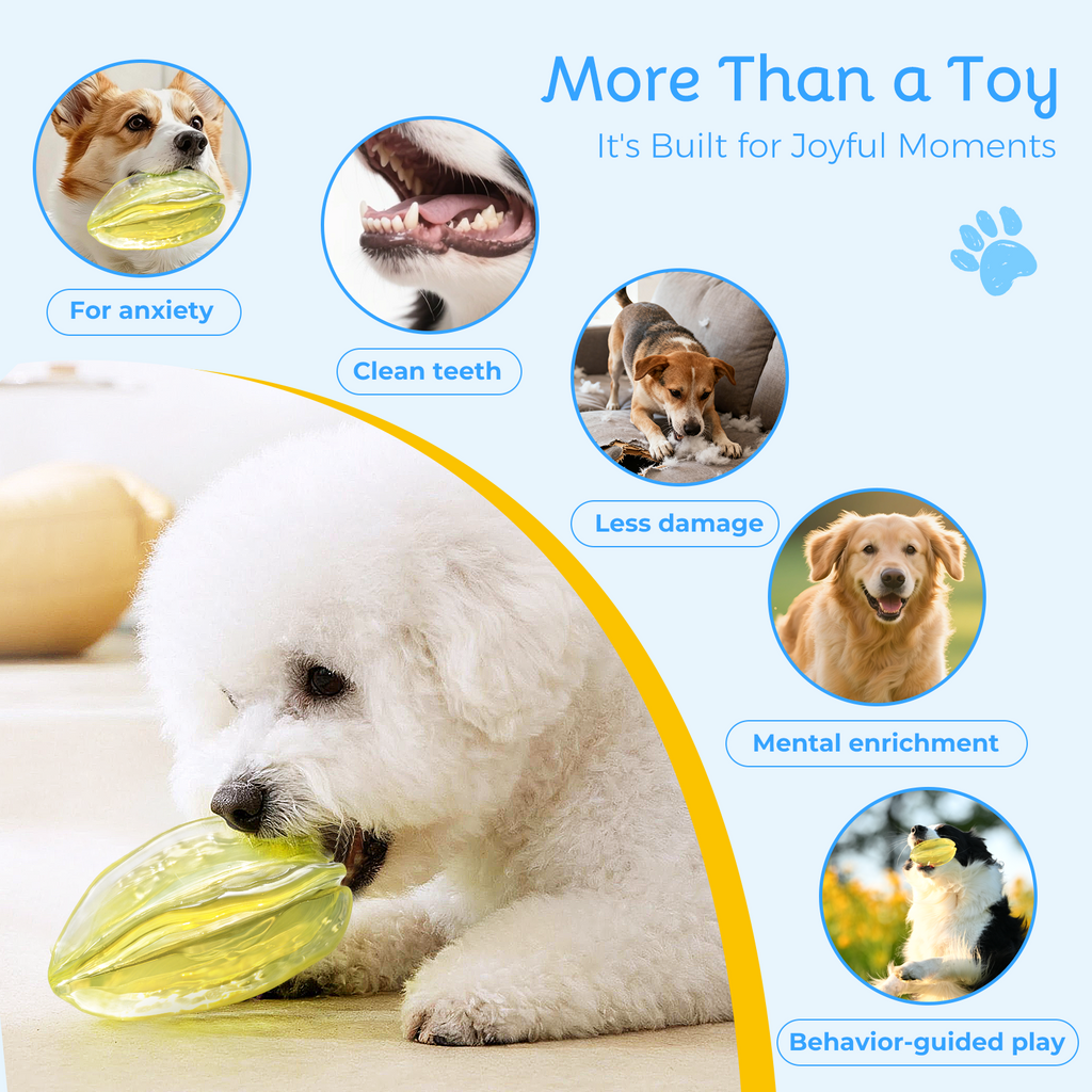 NibbleFru Dog Teething Chew Toy