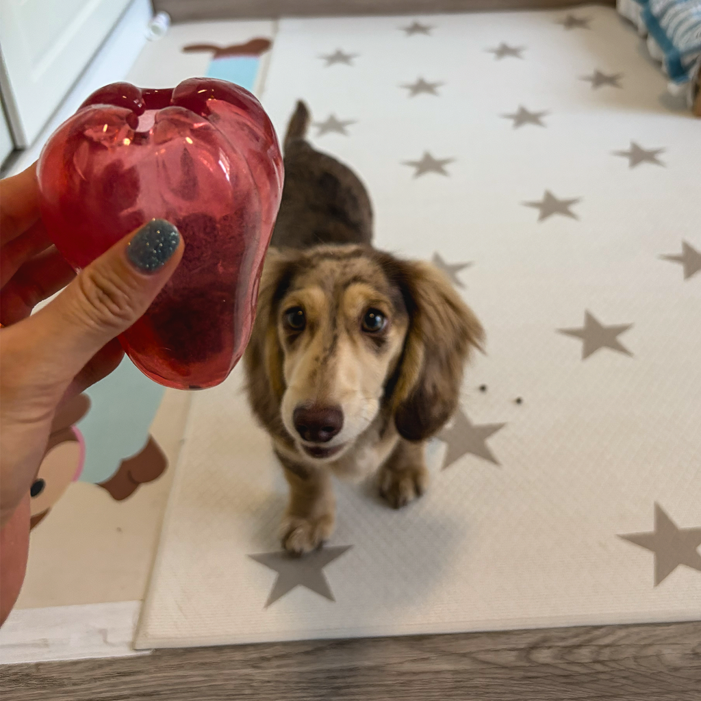 NibbleFru Dog Treat Dispensing Toy